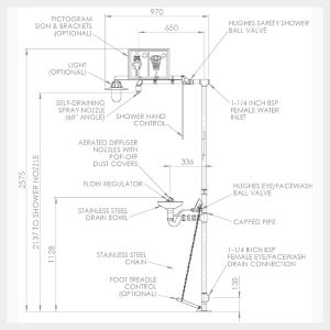 Stainless Safety Shower and Eye/Facewash