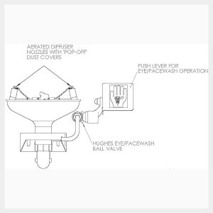 H-STD85G Wall Mounted Eye/Facewash